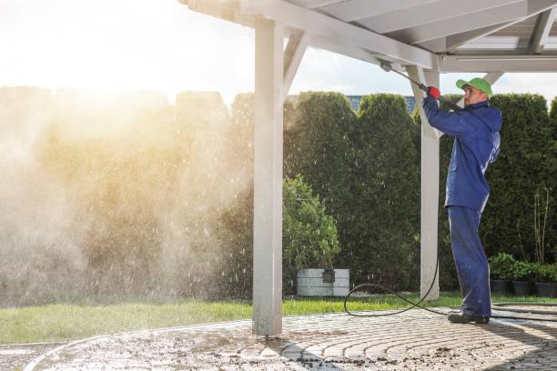 Best Pool Deck Cleaning  in Carbon Hill, AL